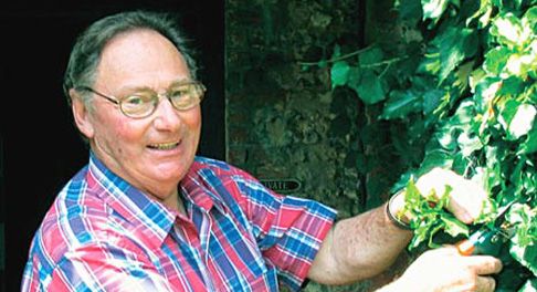 Реконструкция в саду