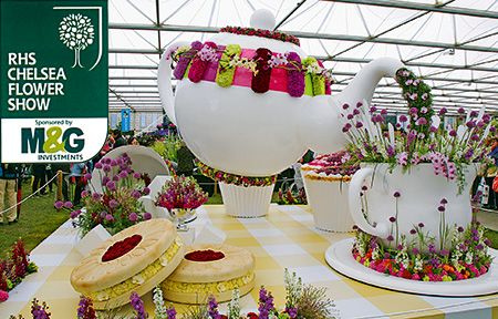 Выставка Chelsea Flower Show 2015: расцвет идей