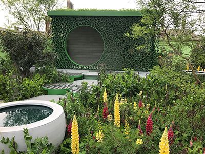 Chelsea Flower Show 2018 продолжается Chelsea Flower Show 2018 продолжается