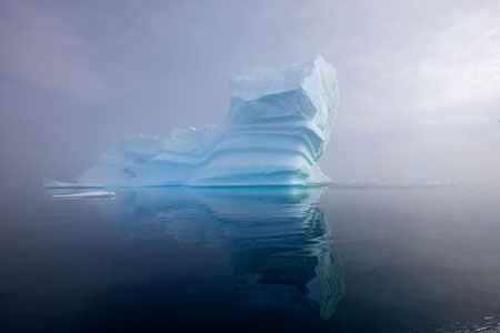 Выставка АЙСБЕРГ(и) / ICEBERG(s)