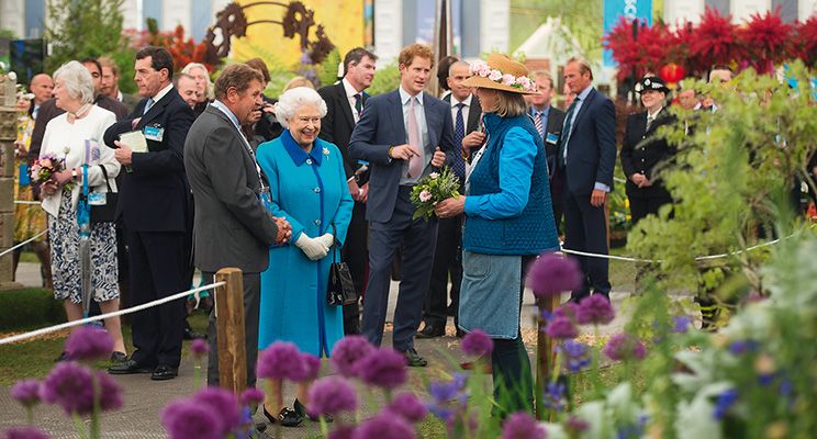 Выставка Chelsea Flower Show 2015: расцвет идей - изображение 1